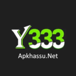 Y333 Game