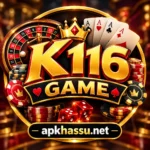 K116 Game