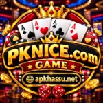 PKNICE.Com-Game